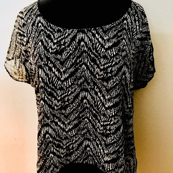 Sheer Shirt with Lace Back - Picture 1 of 4